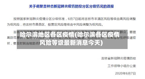 哈尔滨地区各区疫情(哈尔滨各区疫情风险等级最新消息今天)-第2张图片