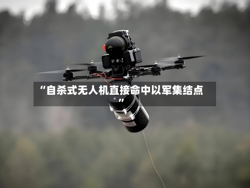 “自杀式无人机直接命中以军集结点	”-第2张图片