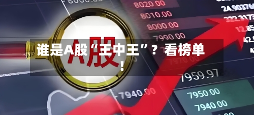 谁是A股“王中王”？看榜单！-第3张图片