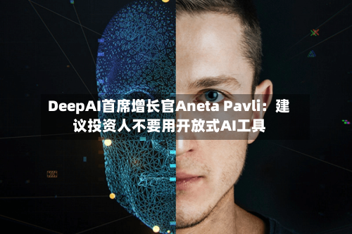 DeepAI首席增长官Aneta Pavli:建议投资人不要用开放式AI工具-第3张图片