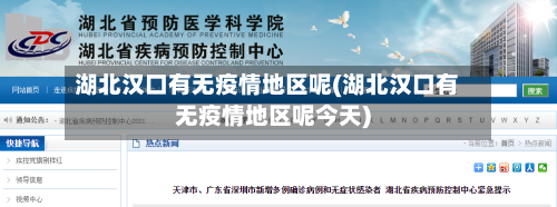 湖北汉口有无疫情地区呢(湖北汉口有无疫情地区呢今天)