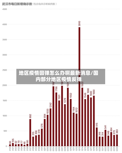地区疫情回弹怎么办啊最新消息/国内部分地区疫情反弹-第2张图片
