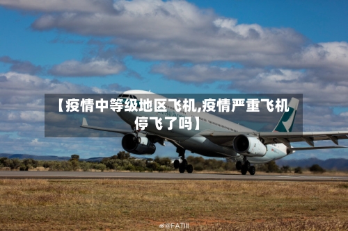 【疫情中等级地区飞机,疫情严重飞机停飞了吗】