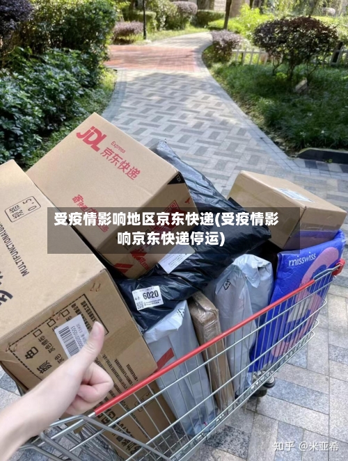 受疫情影响地区京东快递(受疫情影响京东快递停运)-第3张图片