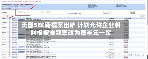 美国SEC新提案出炉 计划允许企业将财报披露频率改为每半年一次