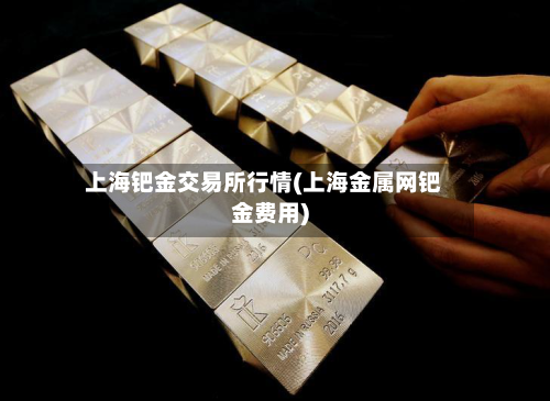上海钯金交易所行情(上海金属网钯金费用)