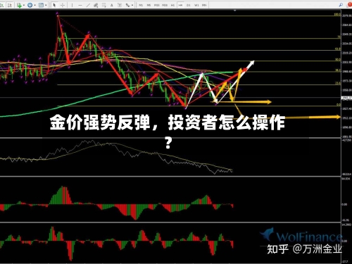 金价强势反弹	，投资者怎么操作？-第3张图片