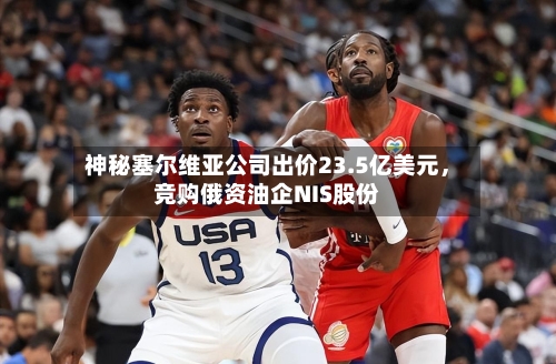 神秘塞尔维亚公司出价23.5亿美元，竞购俄资油企NIS股份-第2张图片