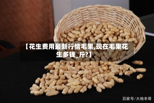 【花生费用最新行情毛果,现在毛果花生多钱_斤?】-第2张图片