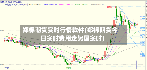 郑棉期货实时行情软件(郑棉期货今日实时费用走势图实时)