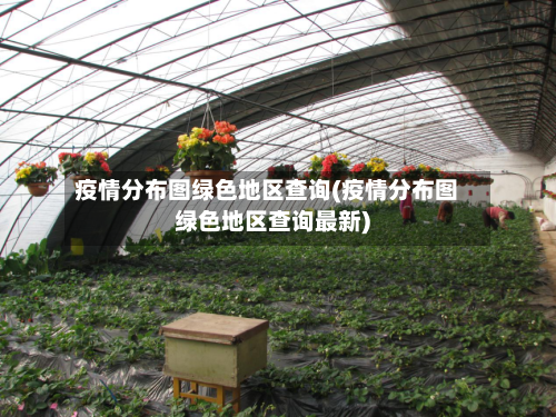 疫情分布图绿色地区查询(疫情分布图绿色地区查询最新)