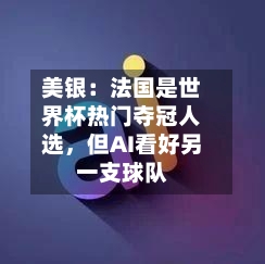 美银：法国是世界杯热门夺冠人选	，但AI看好另一支球队-第2张图片