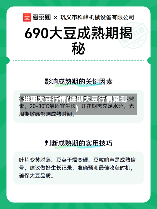 进期大豆行情(进期大豆行情预测)