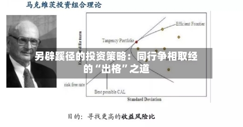 另辟蹊径的投资策略：同行争相取经的“出格	”之道-第2张图片