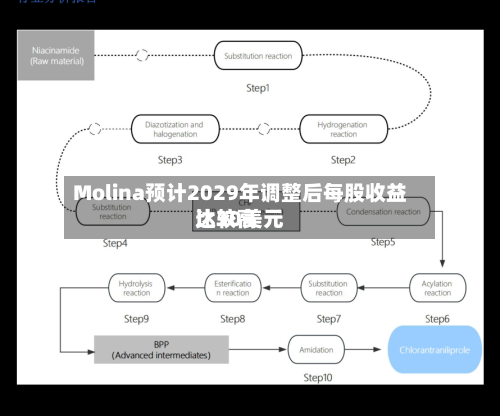 Molina预计2029年调整后每股收益比较高
达30美元-第2张图片