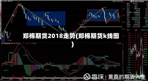 郑棉期货2018走势(郑棉期货k线图)-第2张图片