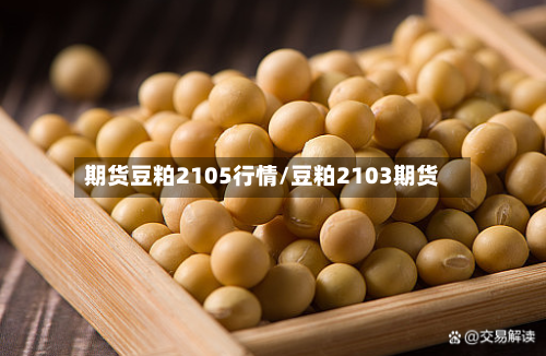 期货豆粕2105行情/豆粕2103期货-第2张图片