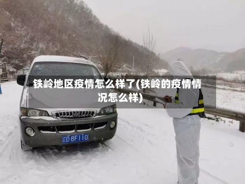 铁岭地区疫情怎么样了(铁岭的疫情情况怎么样)-第2张图片