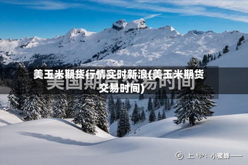 美玉米期货行情实时新浪(美玉米期货交易时间)