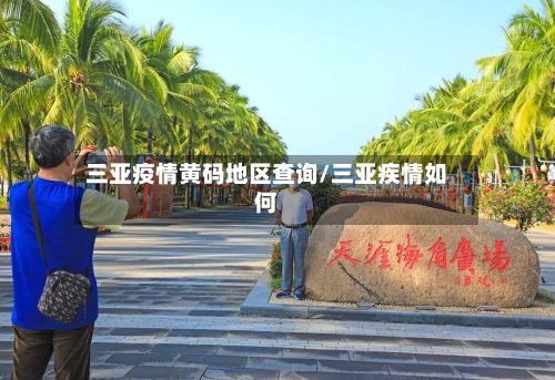 三亚疫情黄码地区查询/三亚疾情如何