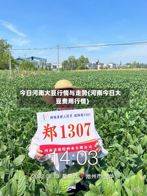 今日河南大豆行情与走势(河南今日大豆费用行情)-第2张图片