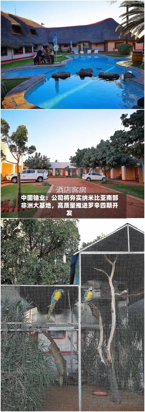 中国铀业：公司将夯实纳米比亚南部非洲大基地，高质量推进罗辛四期开发