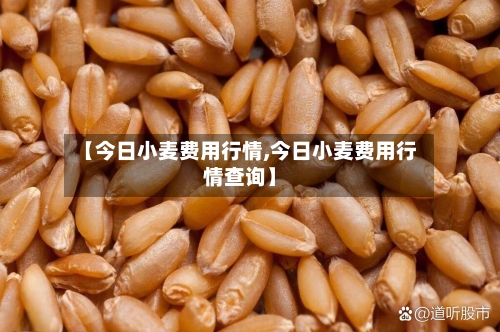 【今日小麦费用行情,今日小麦费用行情查询】