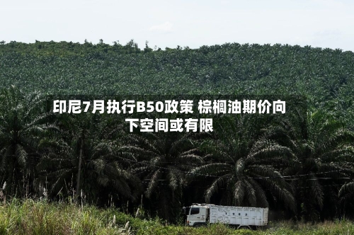 印尼7月执行B50政策 棕榈油期价向下空间或有限