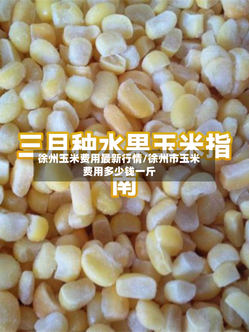 徐州玉米费用最新行情/徐州市玉米费用多少钱一斤