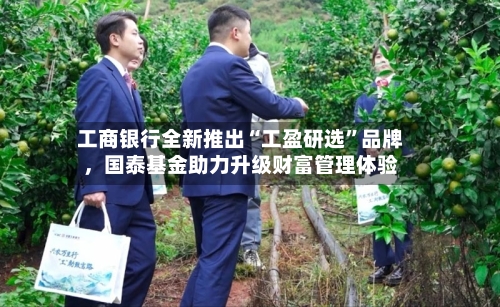 工商银行全新推出“工盈研选”品牌，国泰基金助力升级财富管理体验-第3张图片