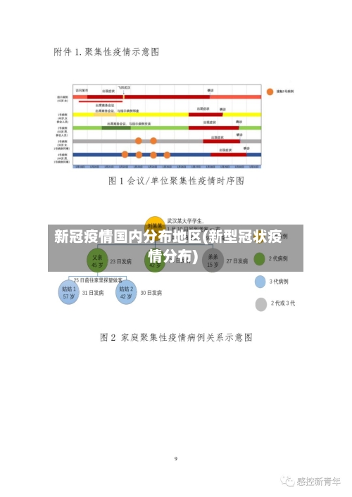 新冠疫情国内分布地区(新型冠状疫情分布)