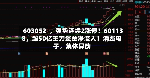 603052  ，强势连续2涨停！601138，超50亿主力资金净流入！消费电子，集体异动