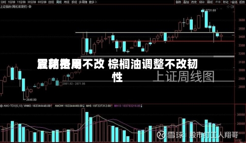 豆粕费用
震荡格局不改 棕榈油调整不改韧性-第2张图片