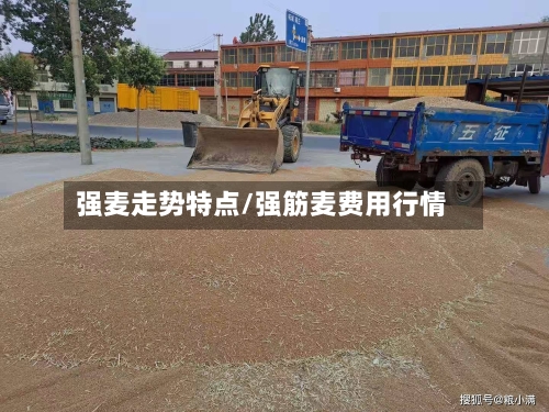 强麦走势特点/强筋麦费用行情-第2张图片
