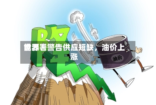 世界能源署警告供应短缺，油价上涨-第2张图片