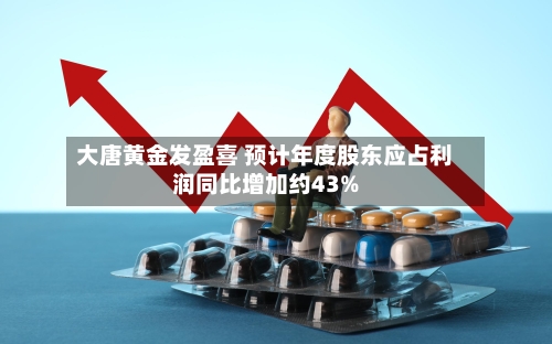 大唐黄金发盈喜 预计年度股东应占利润同比增加约43%