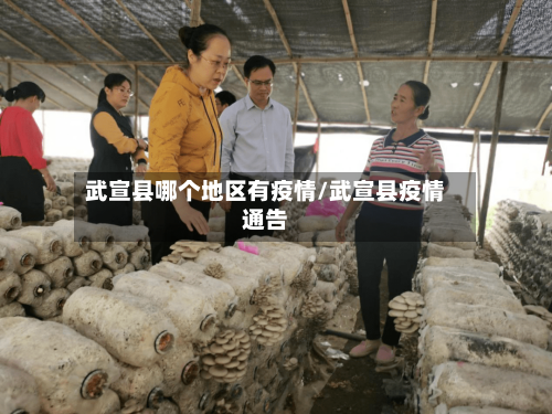 武宣县哪个地区有疫情/武宣县疫情通告