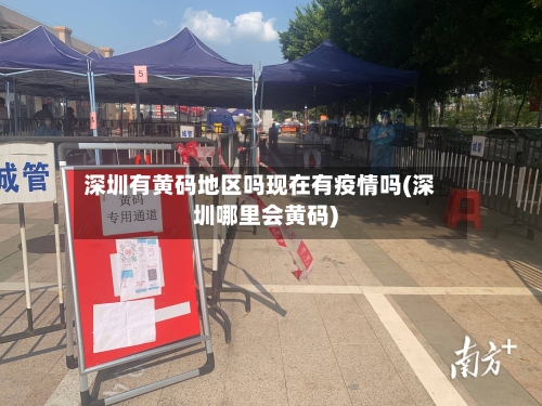 深圳有黄码地区吗现在有疫情吗(深圳哪里会黄码)