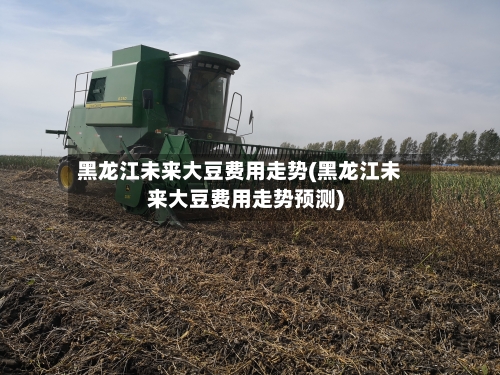 黑龙江未来大豆费用走势(黑龙江未来大豆费用走势预测)-第2张图片