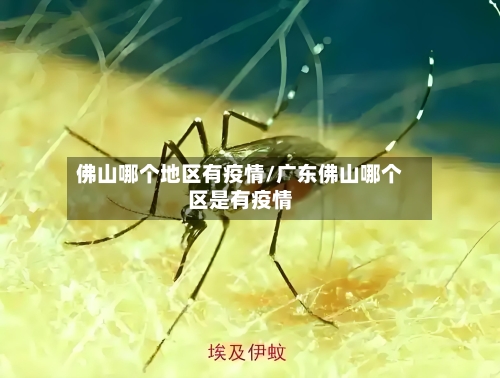 佛山哪个地区有疫情/广东佛山哪个区是有疫情
