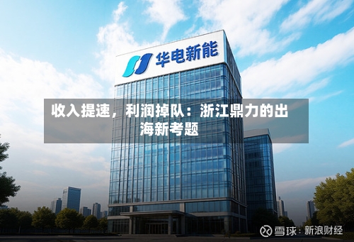 收入提速，利润掉队：浙江鼎力的出海新考题
