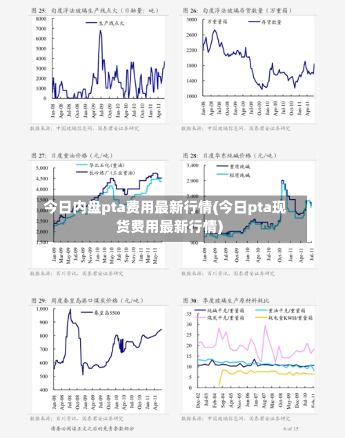 今日内盘pta费用最新行情(今日pta现货费用最新行情)-第2张图片