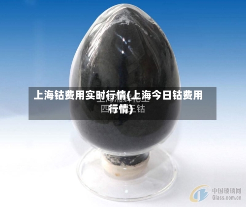 上海钴费用实时行情(上海今日钴费用行情)-第3张图片