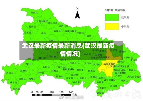 武汉最新疫情最新消息(武汉最新疫情情况)