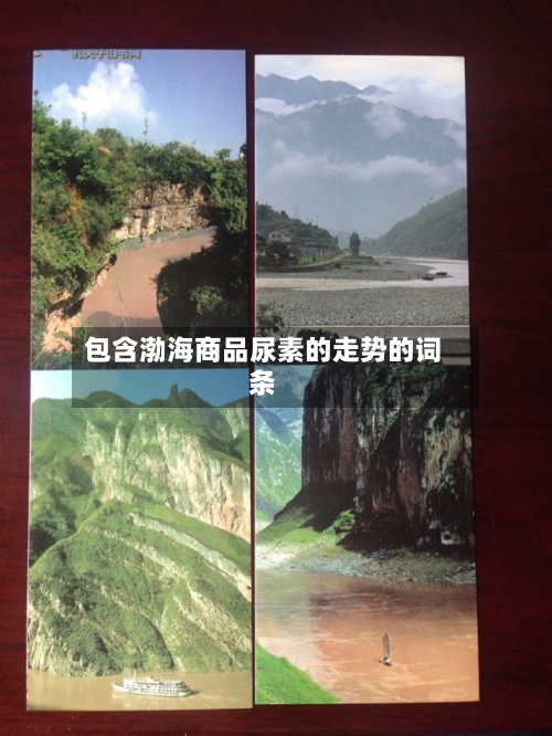 包含渤海商品尿素的走势的词条-第2张图片
