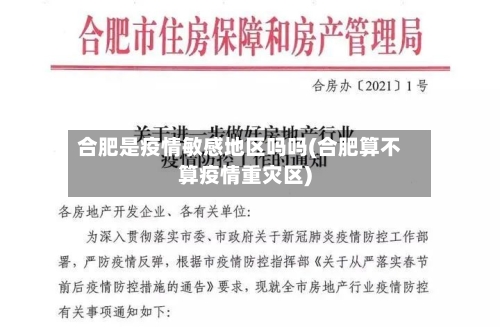 合肥是疫情敏感地区吗吗(合肥算不算疫情重灾区)-第2张图片