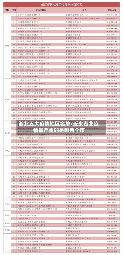 湖北五大疫情地区名单/近来湖北疫情最严重的是哪两个市-第3张图片
