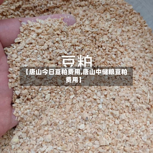 【唐山今日豆粕费用,唐山中储粮豆粕费用】-第3张图片