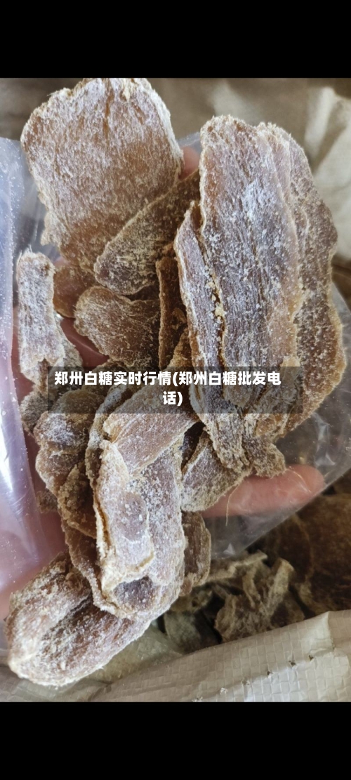 郑卅白糖实时行情(郑州白糖批发电话)