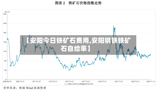 【安阳今日铁矿石费用,安阳钢铁铁矿石自给率】-第3张图片